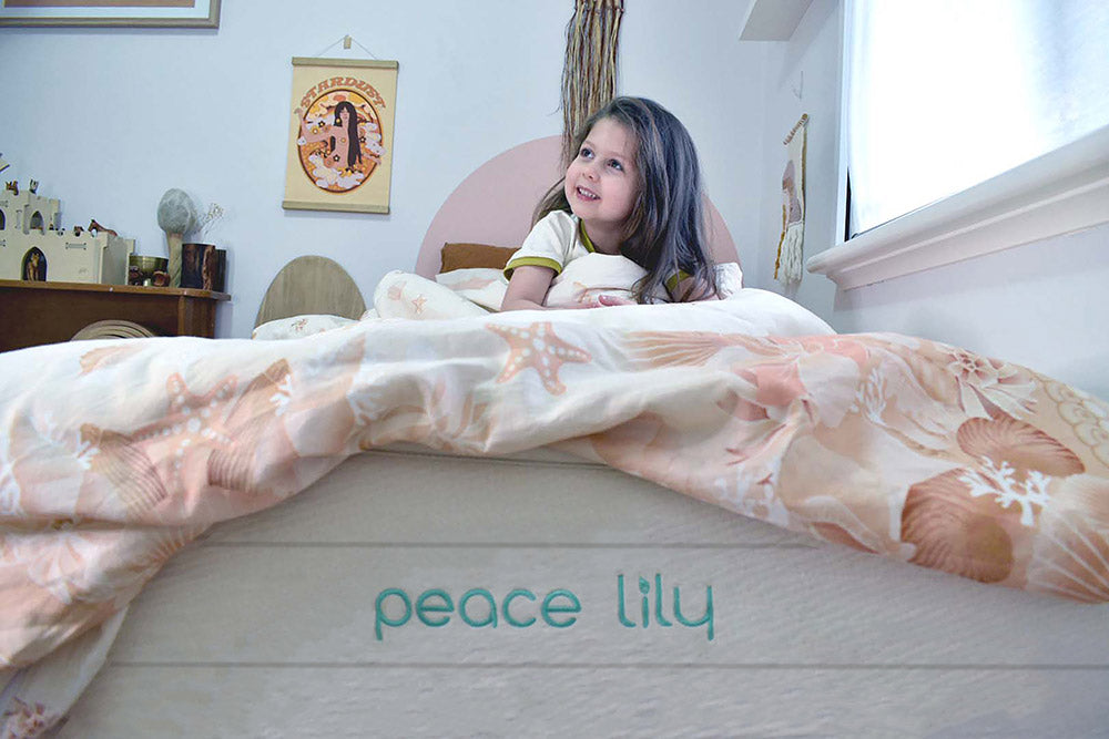 From Toddler Bed to a Peace Lily Big Girl Bed