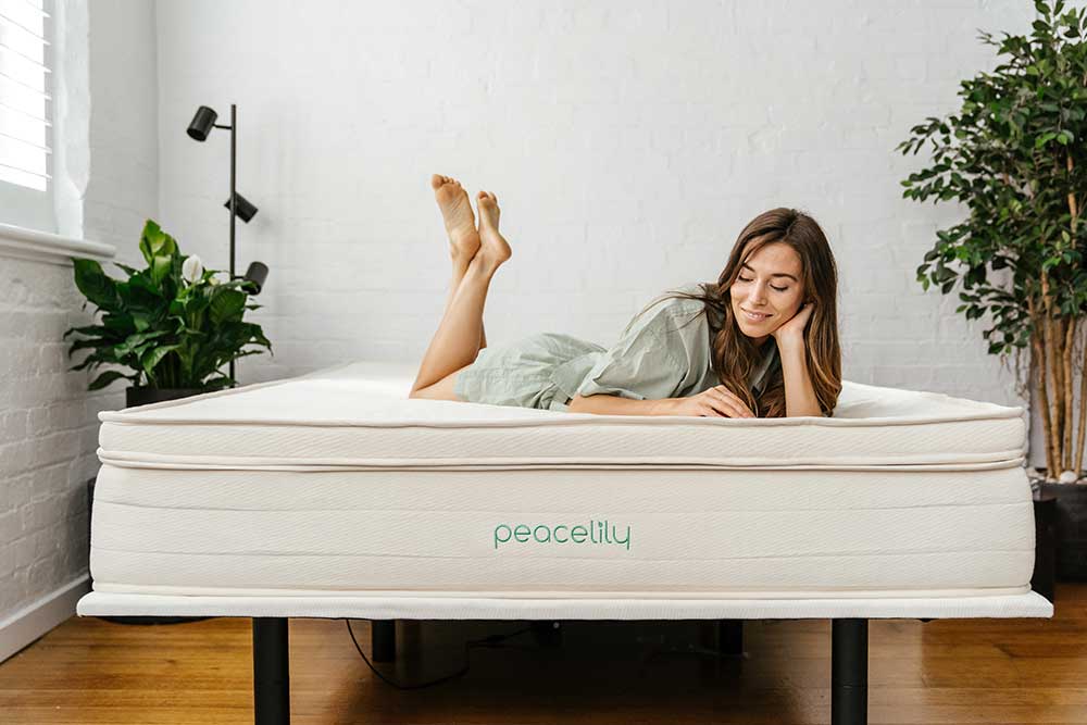 Peace Lily Has Launched In The United States!