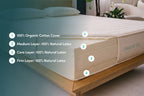 Peace Lily Latex Mattress