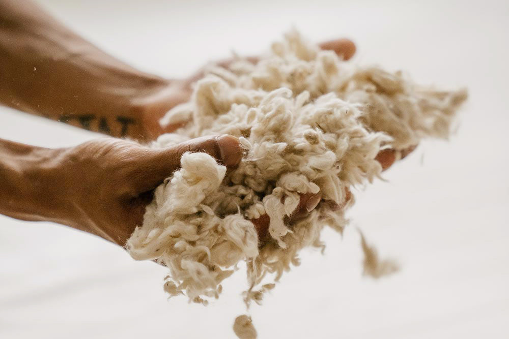 kapok plant fiber