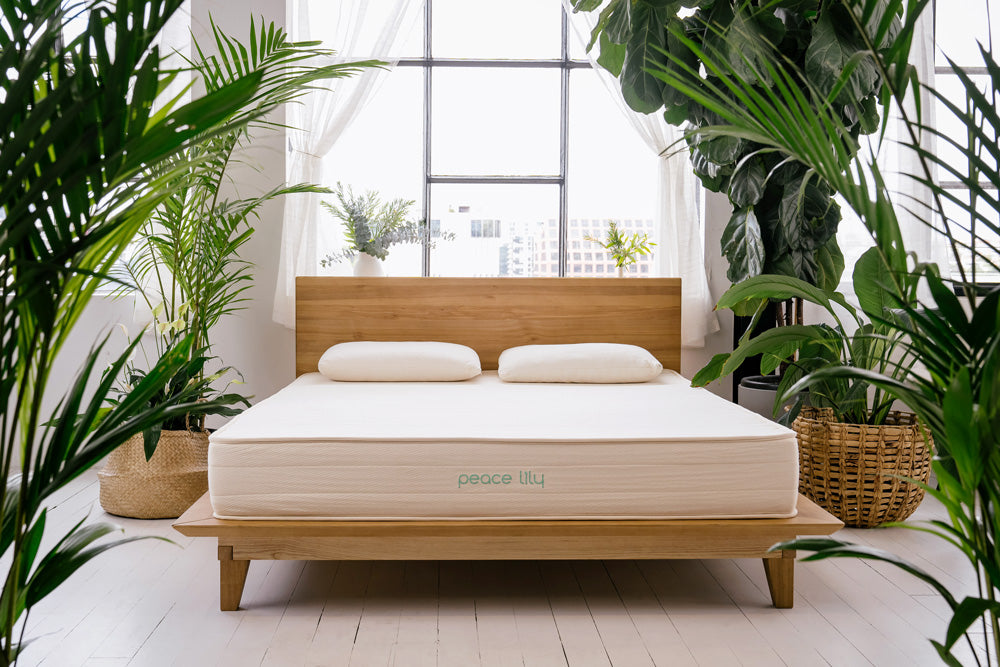Natural Latex Mattresses Queen, King, Twin Peace Lily