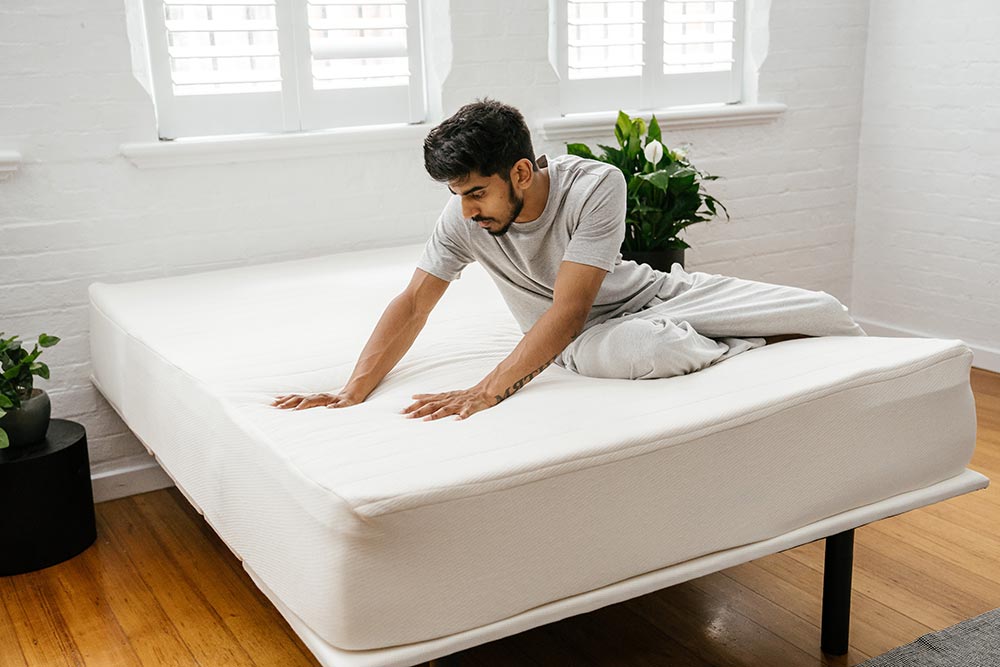 peace lily matress Organic Wool Mattress Protector